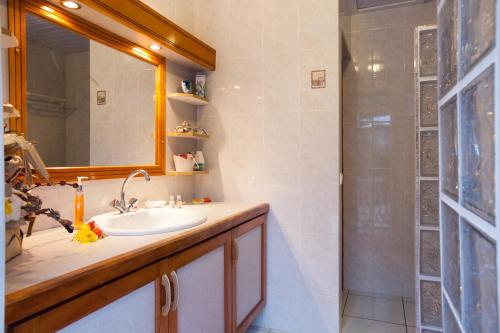 帕皮提费尔豪酒店的一间带水槽和淋浴的浴室