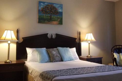 马那瓜3 rooms house的一间卧室配有一张带两盏灯和一棵树的床。