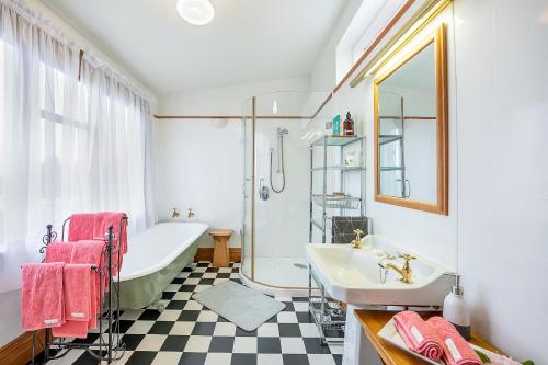 巴尔克拉萨The Fern & Thistle Luxury Accommodation- Drinks, Hotpool, Sauna的带浴缸、水槽和浴缸的浴室