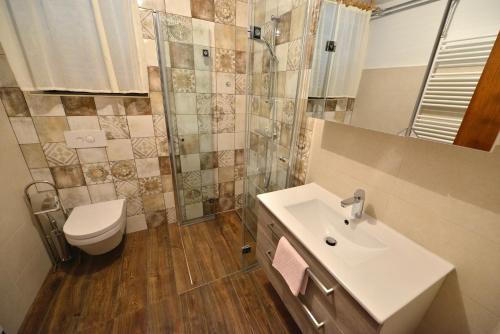 采尔克诺Holiday Home Davča的一间带水槽、卫生间和淋浴的浴室