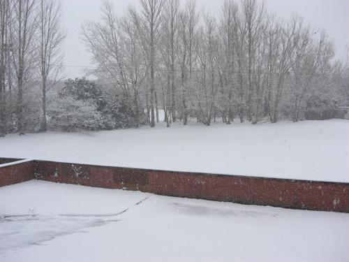 邓弗里斯Hamilton House的一座有砖墙和树木的雪覆盖的院子