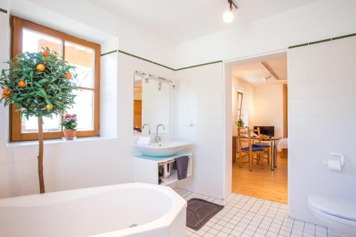 LindenHormannhof的浴室设有白色的浴缸和一棵树。