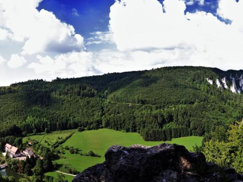 Thiergarten纽姆勒高萨湖酒店的从山顶上欣赏绿色田野的景色