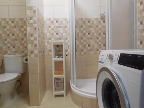 利帕河畔卡梅尼采Apartmán Kamenice的一间带卫生间和洗衣机的浴室