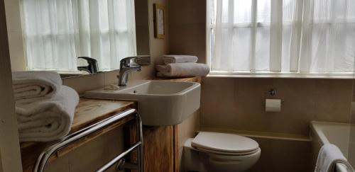 斯托昂泽沃尔德金斯阿姆兹酒店的一间带水槽和卫生间的浴室以及窗户。
