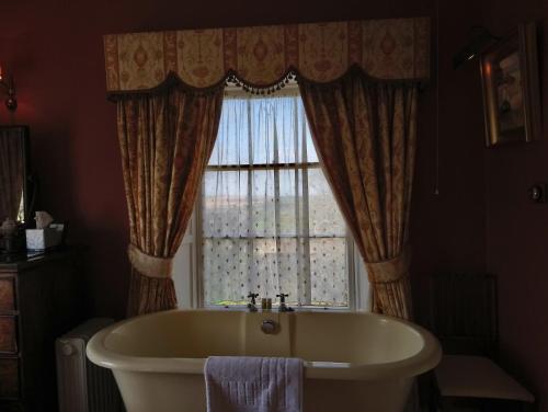 新罗斯Kilmokea Country Manor & Gardens的带浴缸的浴室和窗户