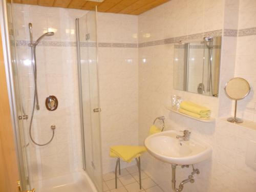 EurasburgLandgasthof Berg的带淋浴和盥洗盆的浴室