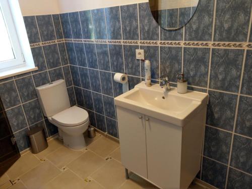 VecmuižaViesu nams Purenes的一间带卫生间、水槽和镜子的浴室