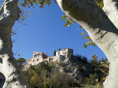 阿维尼翁新城奥尔西尼旅馆的山顶上树木繁茂的城堡