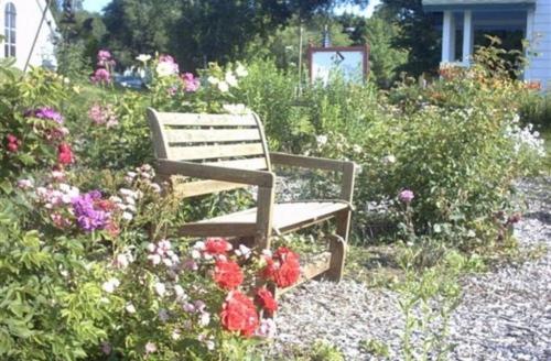 贝菲尔德Lucy's Place的花园里种着鲜花的木凳