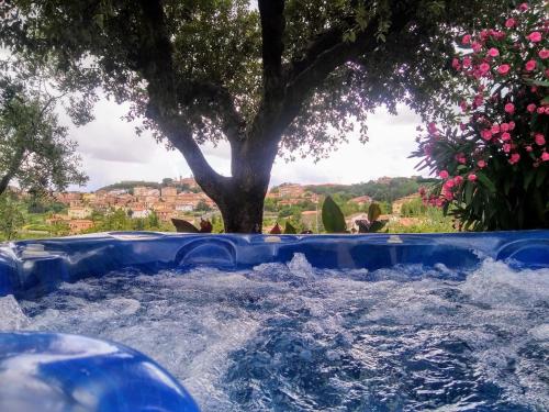 蒙特普齐亚诺Villa Fè -Choose Panoramic View, Jacuzzi, Private Parking的树荫庭院中的小型游泳池