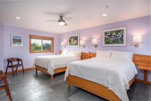 波因特阿里纳Wildflower Boutique Motel的紫色墙壁客房的两张床