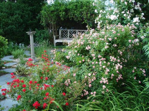 威廉斯堡Newport House Bed & Breakfast的种有鲜花的花园,后方设有长凳