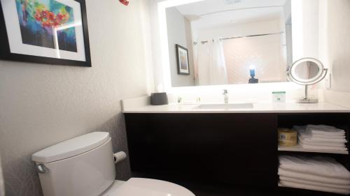 乔利埃特Holiday Inn Hotel & Suites - Joliet Southwest, an IHG Hotel的一间带卫生间、水槽和镜子的浴室