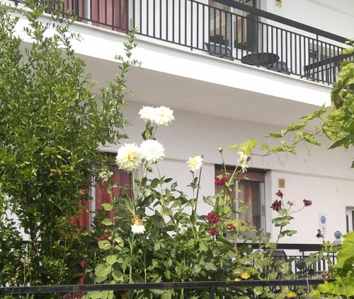 里托楚伦Pension Olympus的前面有鲜花的白色房子