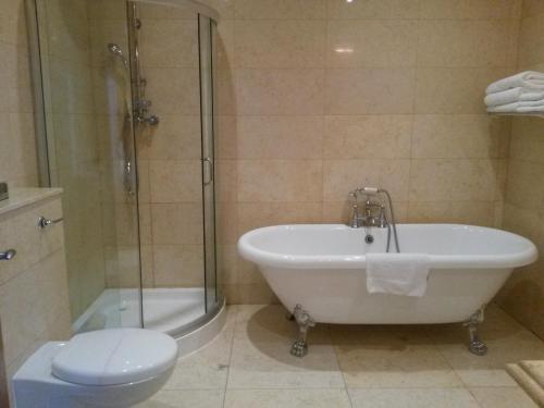 Leighlinbridge洛德巴格纳尔酒店的带浴缸、淋浴和卫生间的浴室