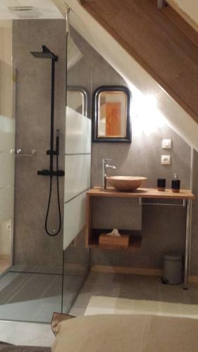 马尔穆捷Notre Rêve - Chambre d'hôtes的浴室配有水槽和带水槽的淋浴