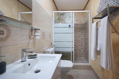 特尔古奥克纳Portile Ocnei的一间带水槽、卫生间和淋浴的浴室