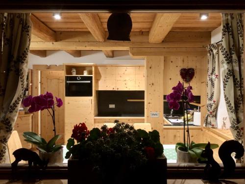 AlveraCiasa Coletin的一间种植了植物的客厅和一间厨房