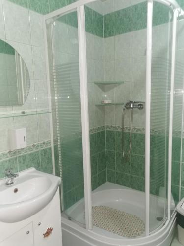 姆拉哥沃Czerwonki Apartament的带淋浴和盥洗盆的浴室