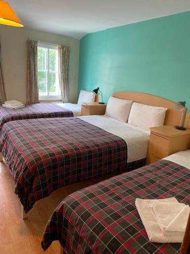 伦敦Seven Dials Hotel Annexe的酒店客房配有两张床和一张铺着地毯的毯子。