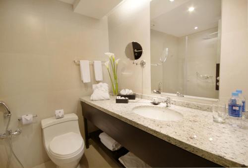 昆卡Oro Verde Cuenca的浴室设有卫生间和带镜子的盥洗盆