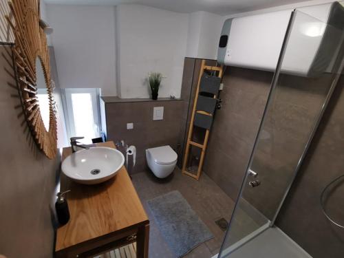伦达瓦APARTMA LINDAU的一间带水槽、卫生间和淋浴的浴室