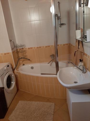 赫拉布斯Chata Konzajf的带浴缸、盥洗盆和卫生间的浴室
