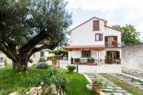 阿杰罗拉Al Chiaro di Luna的院子里有树的白色房子