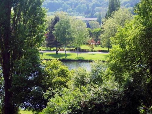 Ralingen拉林根霍夫乡村旅馆的树木公园内河流的景色