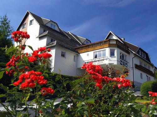 施泰纳赫斯科恩奥西赫特酒店的一座白色的大房子,前面有红花