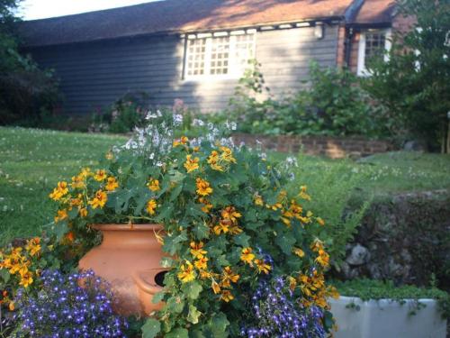 埃登布里奇Oak House Farm的花瓶在房子前面,满是鲜花