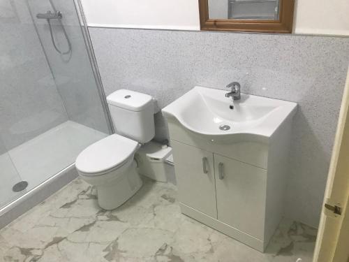 锡斯凯尔Stanley Arms Hotel的浴室配有卫生间、盥洗盆和淋浴。