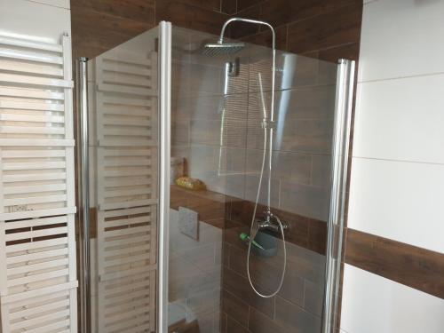 波切尼斯Apartmány u Zbojnika Zabojnika的浴室里设有玻璃门淋浴