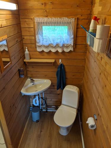 布扎达吕尔斯道凡施翁度假屋的一间带卫生间和水槽的浴室