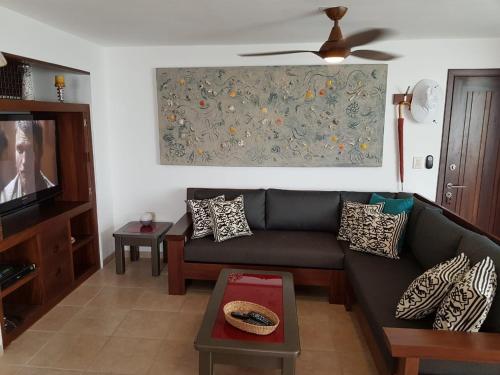 巴亚尔塔港departamento de lujo, Puerto Vallarta. Mexico的带沙发和电视的客厅