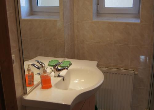 克拉托维卡莉斯塔公寓的浴室配有盥洗盆、镜子和盥洗盆