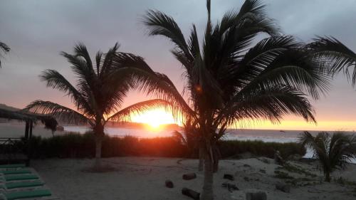 洛斯拉甘斯Bora Bora Bungalows的棕榈树海滩上的日落