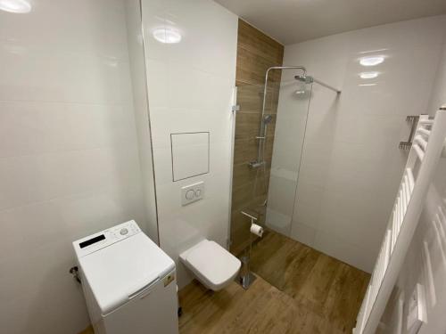 巴德霍夫斯基库佩莱Rezidencia AMÉLIA - Afrodita 2的白色的浴室设有卫生间和淋浴。