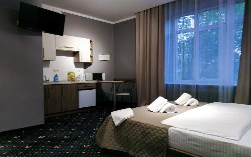 伊万诺-弗兰科夫斯克Luxury.ap的酒店客房带一张床和一个厨房