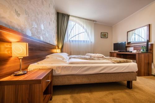 马拉茨基火花保健酒店的一间卧室配有一张带书桌的床和窗户。