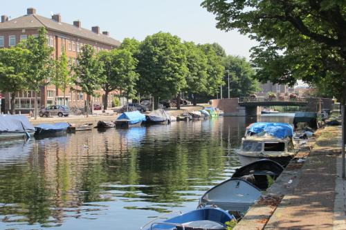 阿姆斯特丹野玫瑰酒店的一群船停靠在河里