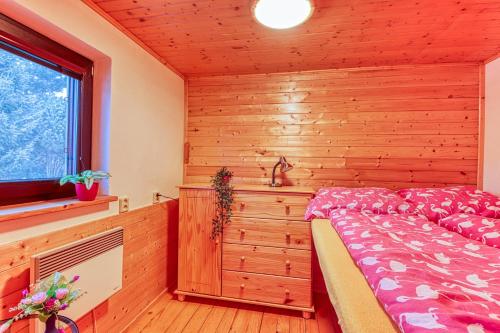 罗斯诺夫·波德·拉德霍斯滕津斯基公寓的一间卧室设有一张床和一个窗口