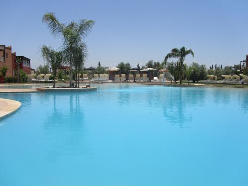 马拉喀什Résidence Habiba的度假村内一座种有棕榈树的大型游泳池