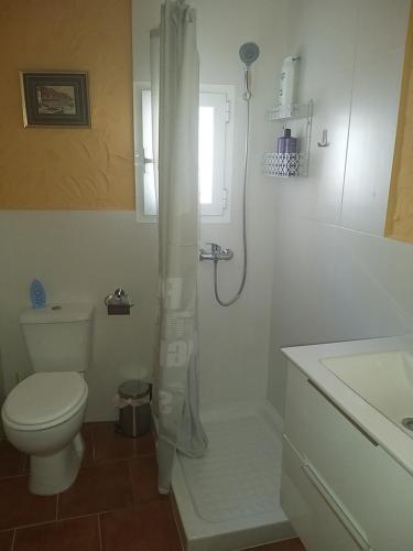 AbrucenaPENSION LA FUENTE的浴室配有卫生间、淋浴和盥洗盆。