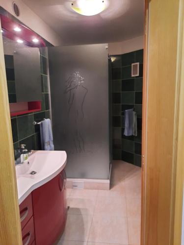 ŠentrupertCountry House Zemljanka的浴室配有水槽和带壁画的淋浴