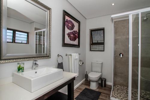 德班Casa Ridge Self-catering的一间带水槽、卫生间和镜子的浴室