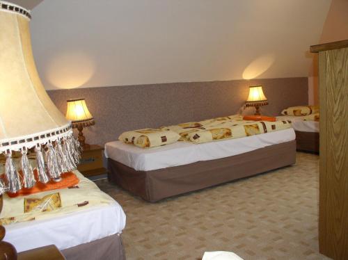 普鲁洪尼斯快乐旅馆的酒店客房设有两张床和两盏灯。