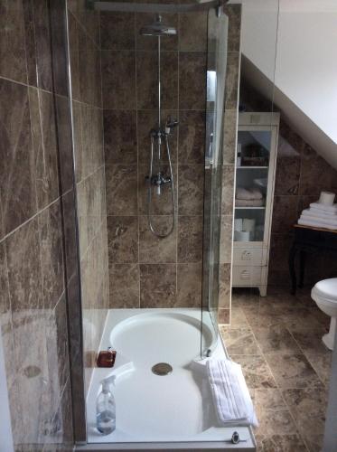 High EtherleyHolly Tree Cottage的带淋浴和浴缸的浴室