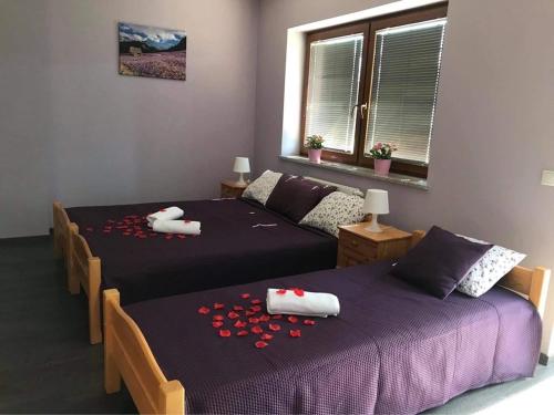Białka Tatrzanska河畔别墅旅馆的红色玫瑰花瓣客房的两张床